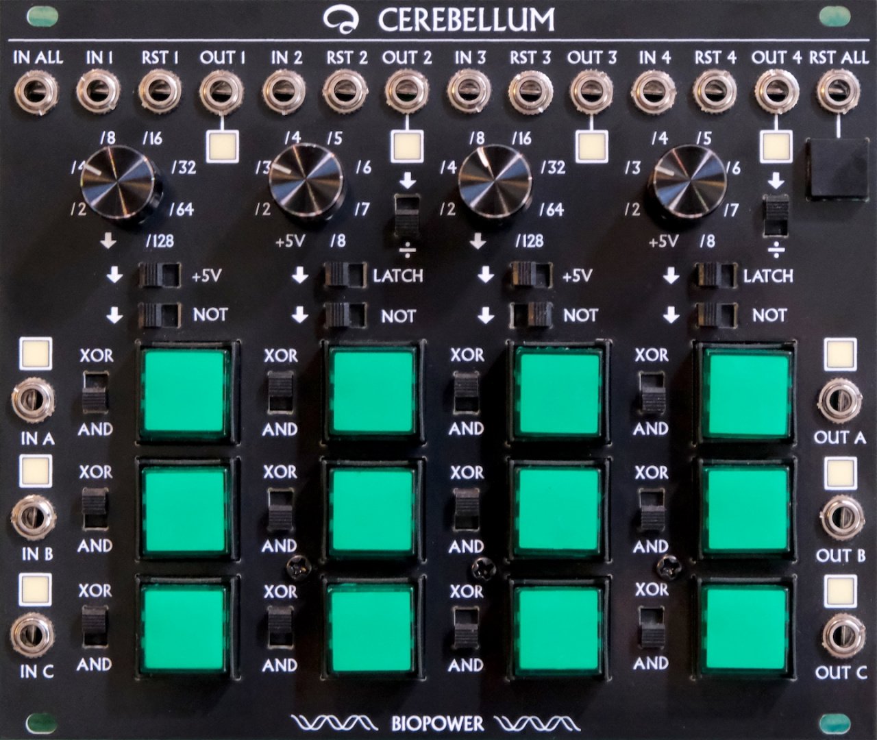 Panel image for Cerebellum