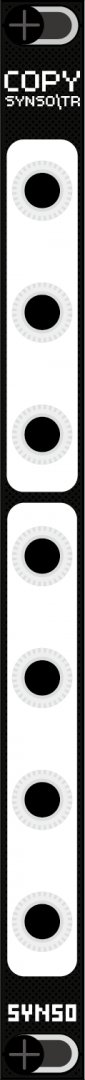 Panel image for Copy
