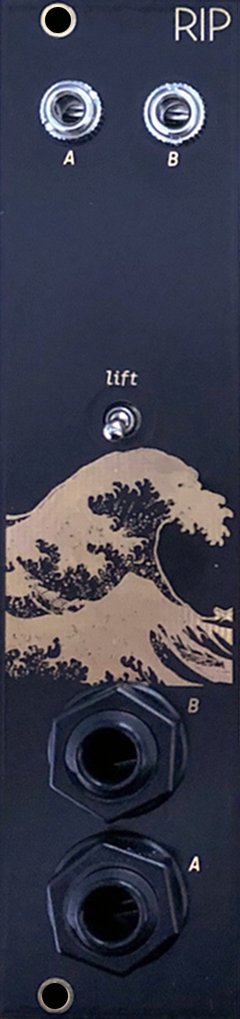 Panel image for DIY RIP