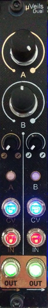 Panel image for dVCA