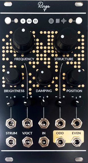 Panel image for Immutable Rings