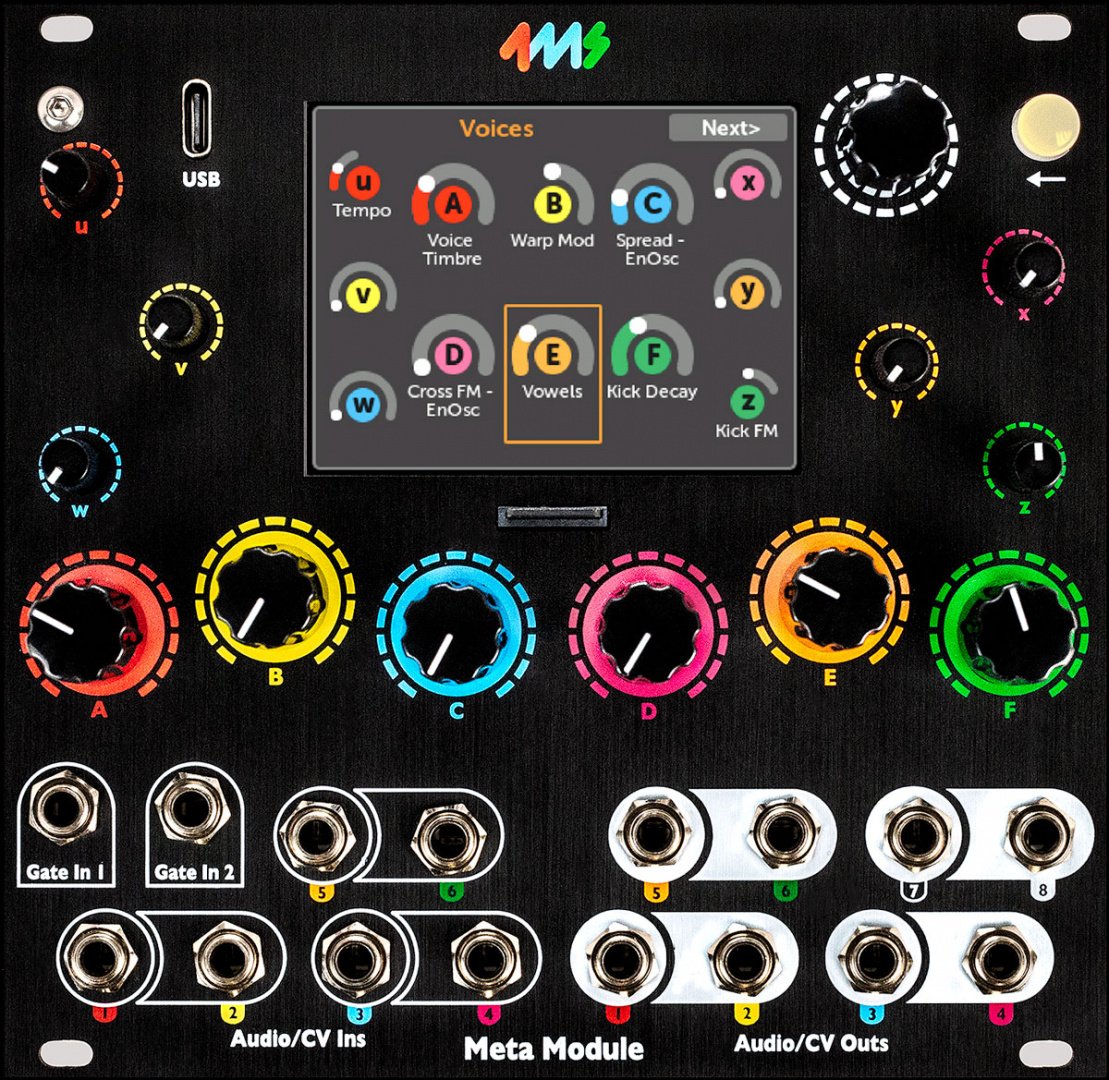 Panel image for MetaModule