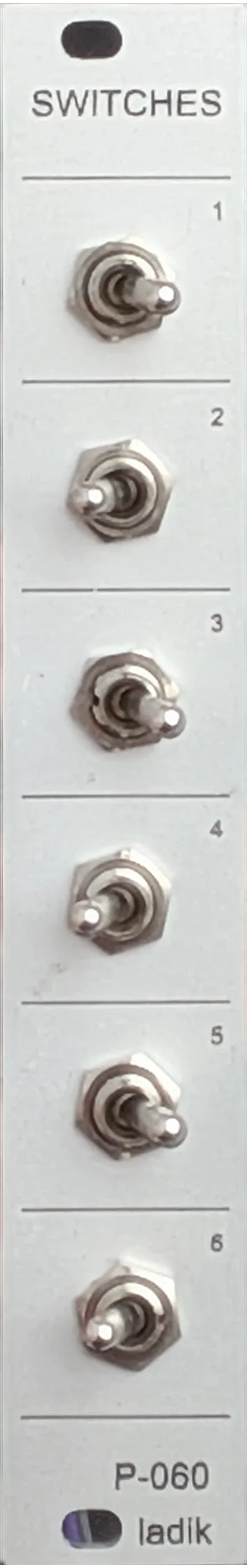 Panel image for P-060 Switches