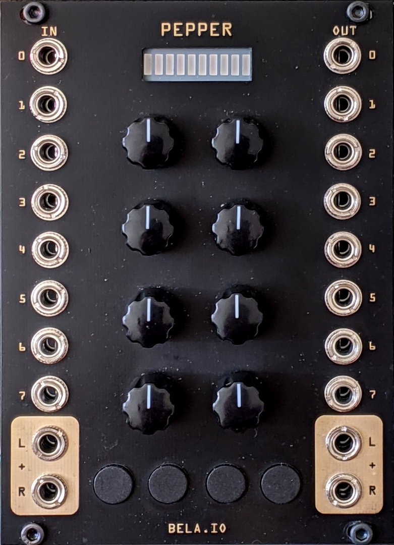 Panel image for PEPPER