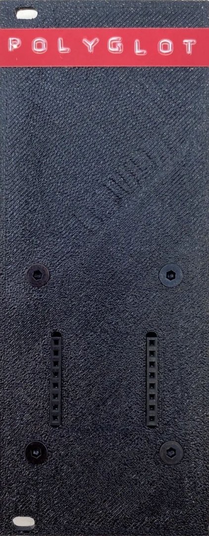 Panel image for Polyglot