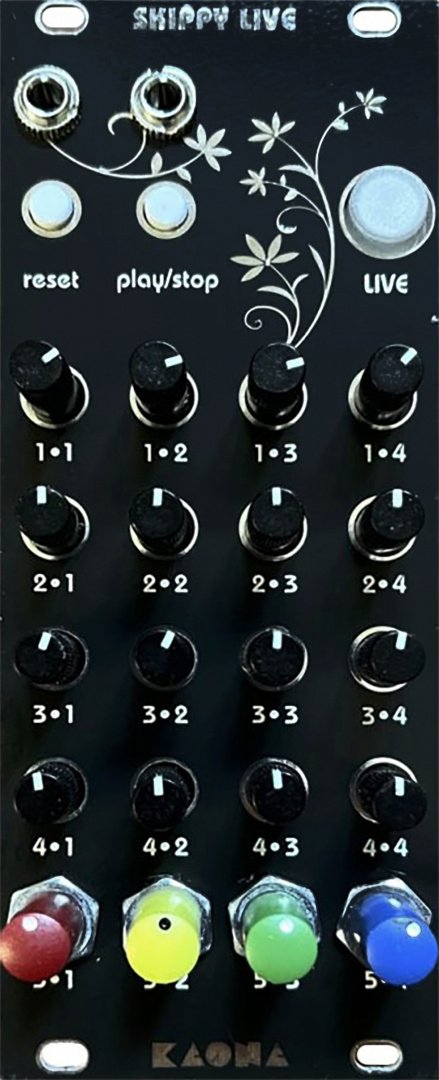 Panel image for SKIPPY LIVE
