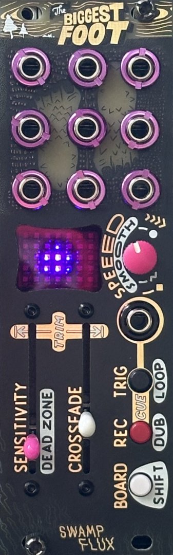 Panel image for The Biggest Foot