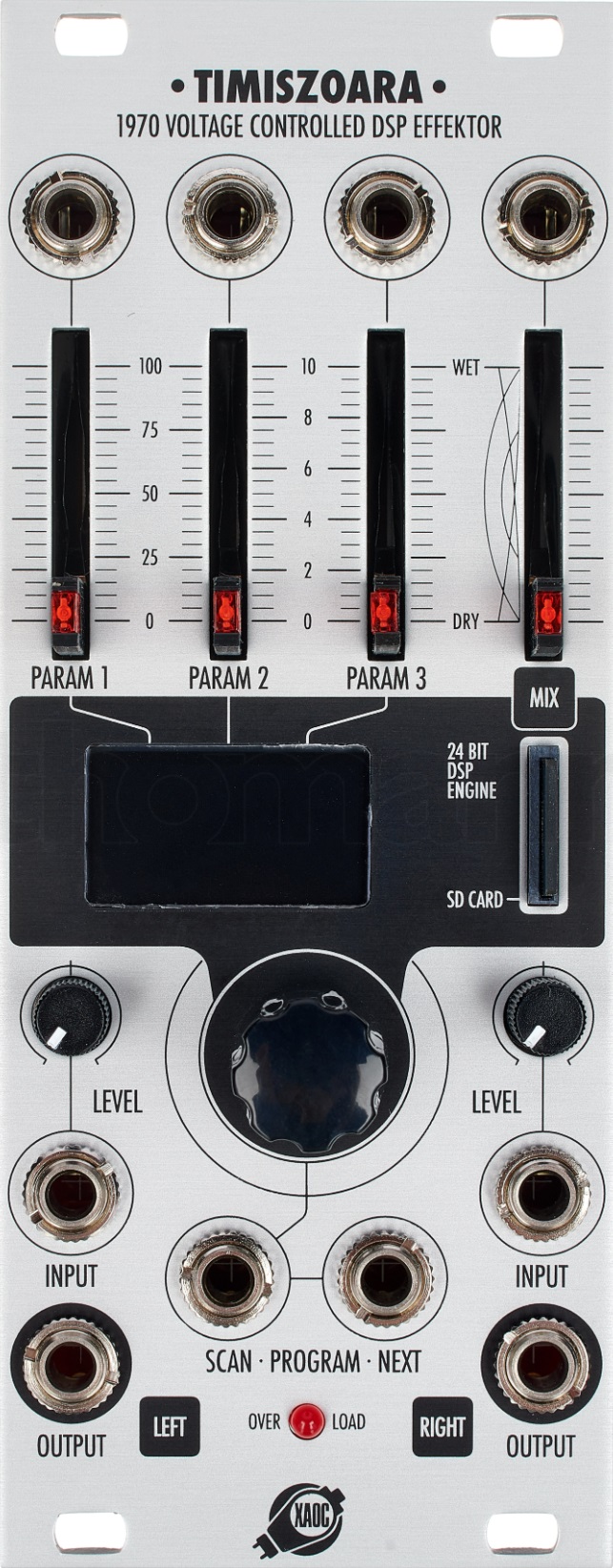 Panel image for Timiszoara