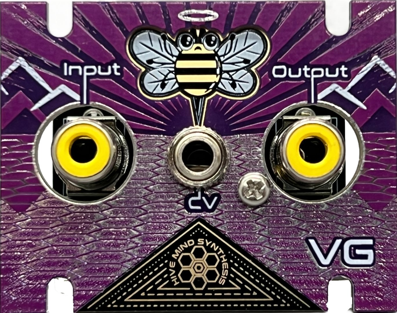 Panel image for Video Gate