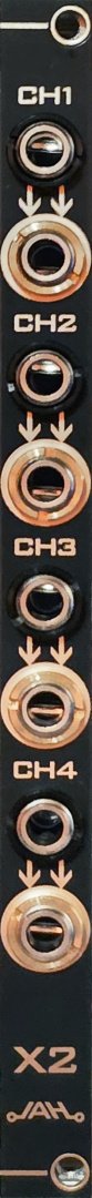 Panel image for X2